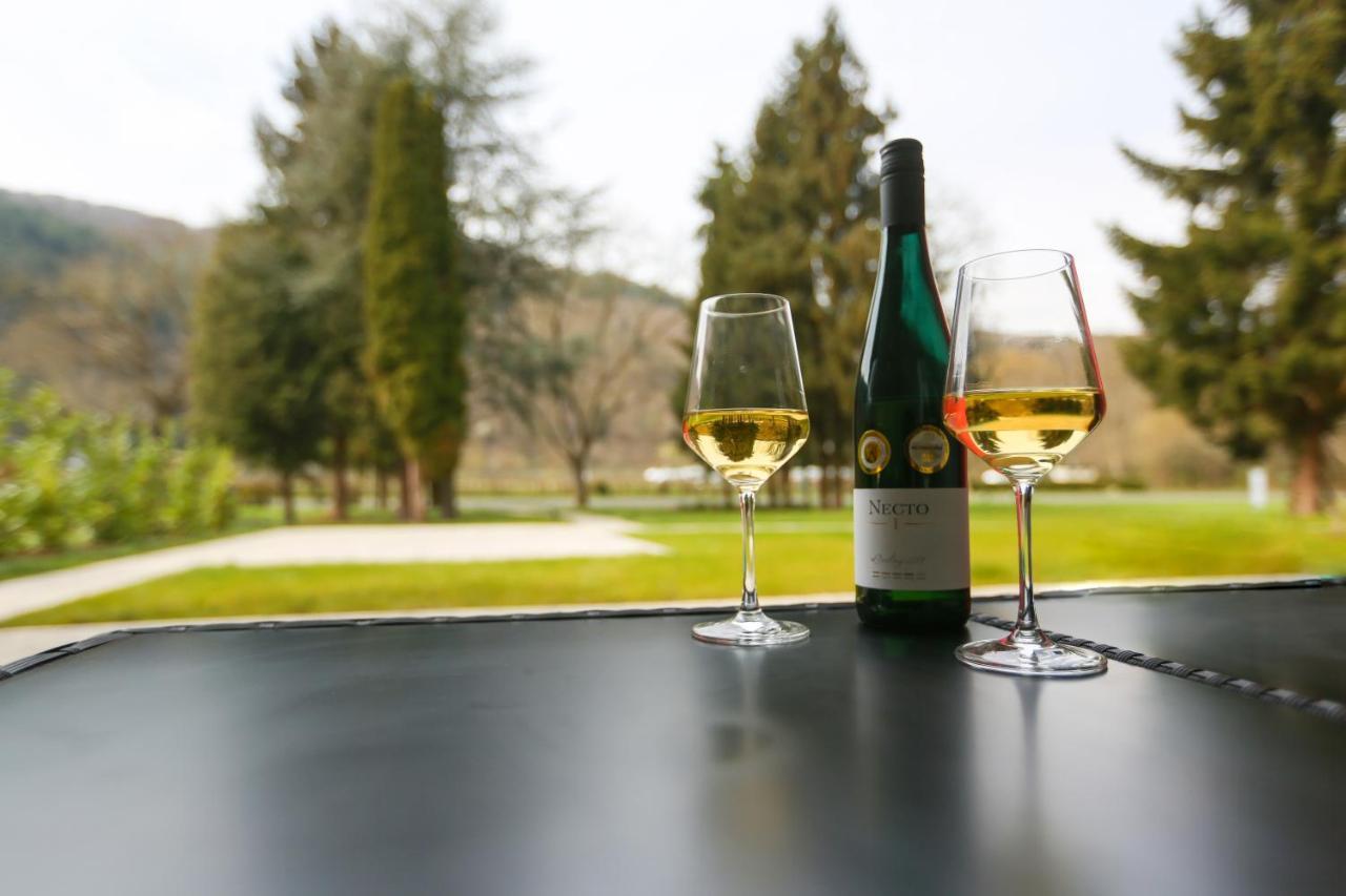 Апартаменти Rieslingresidenz Трабен-Трарбах Екстер'єр фото